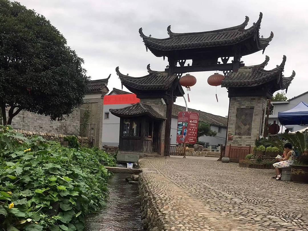 植物大战僵尸14